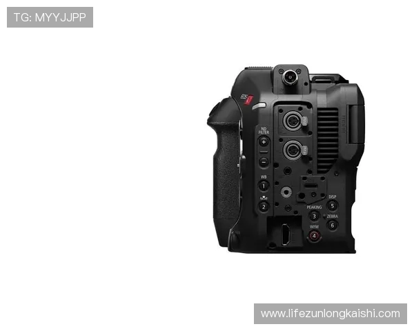 在z6尊龙官网体验极速提款与多渠道支付,轻松畅玩无忧无虑 在z6尊龙官网体验极速提款与多渠道支付,轻松畅玩无忧无虑