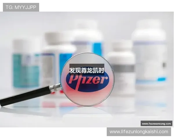 尊龙凯时z6官网首页客户服务支持体系全面提升用户满意度体验