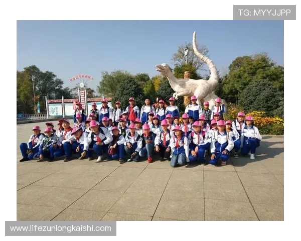 畅游在d88尊龙手机游戏中，感受绝妙的视觉与听觉盛宴